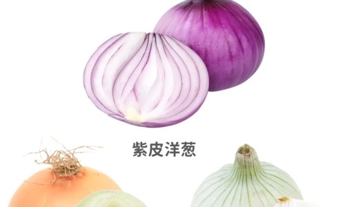 要用金莲花的营养价值和市场价格-药用金莲花价格网 - 网站提供要用金莲花的营养价值和市场价格小常识、金莲花药片的功效与作用