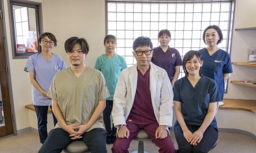药用金莲花价格网 - 网站提供要用金莲花的营养价值和市场价格小常识、金莲花药片的功效与作用