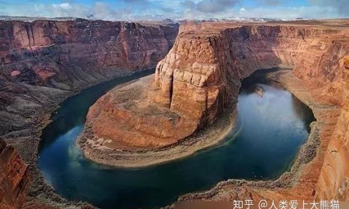 金莲花是什么药-药用金莲花价格网 - 网站提供要用金莲花的营养价值和市场价格小常识、金莲花药片的功效与作用